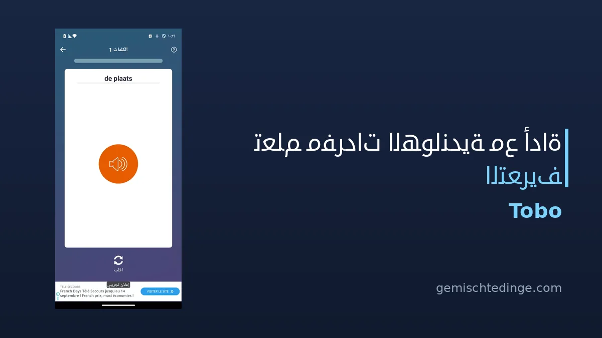 تعلّم مفردات الهولندية مع أداة التعريف: تجربتنا الكاملة لتطبيق Tobo