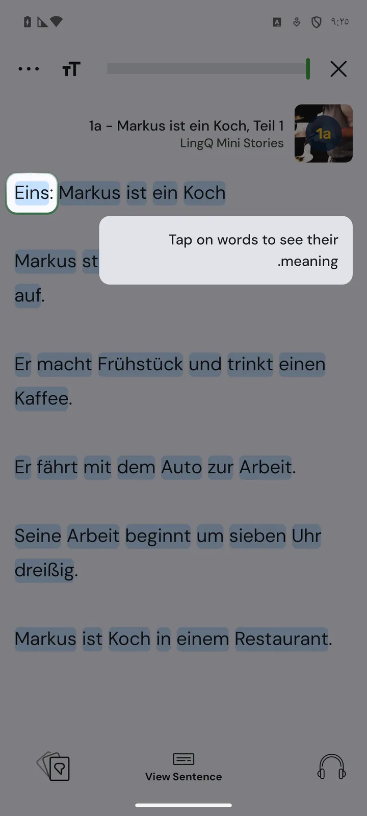 Deutscher Lesetext in LingQ, jedes unbekannte Wort blau hinterlegt und antippbar