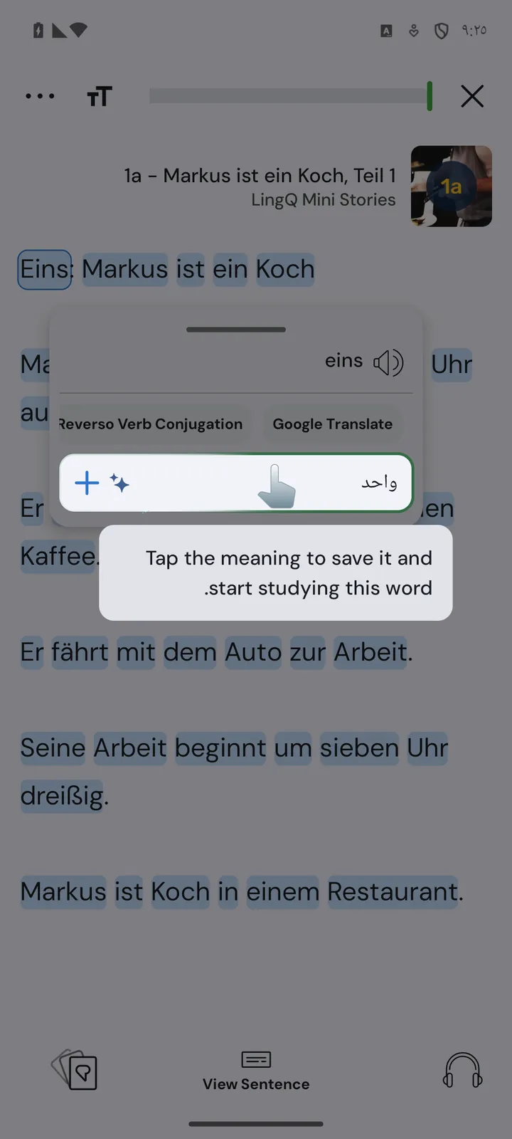 LingQ zeigt die arabische Bedeutung eines deutschen Wortes mit Aussprache und Wörterbuch-Links
